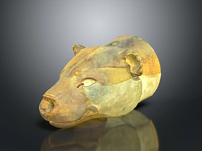 Animal Skull With Ancient Detailed Brownish Yellow Texture And Reflection On Dark Background 3d model