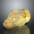 Animal Skull With Ancient Detailed Brownish Yellow Texture And Reflection On Dark Background