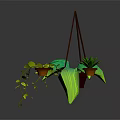 Hanging Green Plant With Large Leaves And Potted Plant On Shelf With Trailing Vines