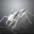 Realistic Detailed White Ant with Extended Legs on Reflective Black Surface