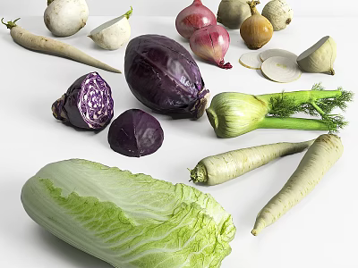Assorted Fresh Vegetables Featuring Purple Cabbage Onions Turnips Fennel And Chinese Cabbage 3d model
