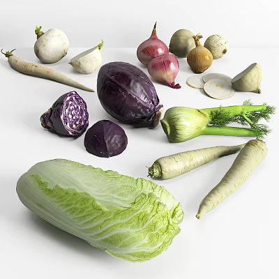 Assorted Fresh Vegetables Featuring Purple Cabbage Onions Turnips Fennel And Chinese Cabbage 3d model