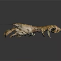Aquatic Animal Lobster with Brown Shell Large Claws and Long Antennae in 3D Model