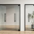 Modern Glass Doors With Black Frame Transparent Glass And Potted Plant On Wooden Floor