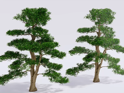 Two Elegant Arbor Trees With Lush Green Foliage And Brown Trunks For Landscape 3d model