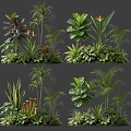 Diverse Indoor Plant Combinations With Tropical Palms Large Leaves And Ferns