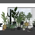Various Bonsai and Potted Plants in Bright Indoor Space with Windows and Different Pot Designs