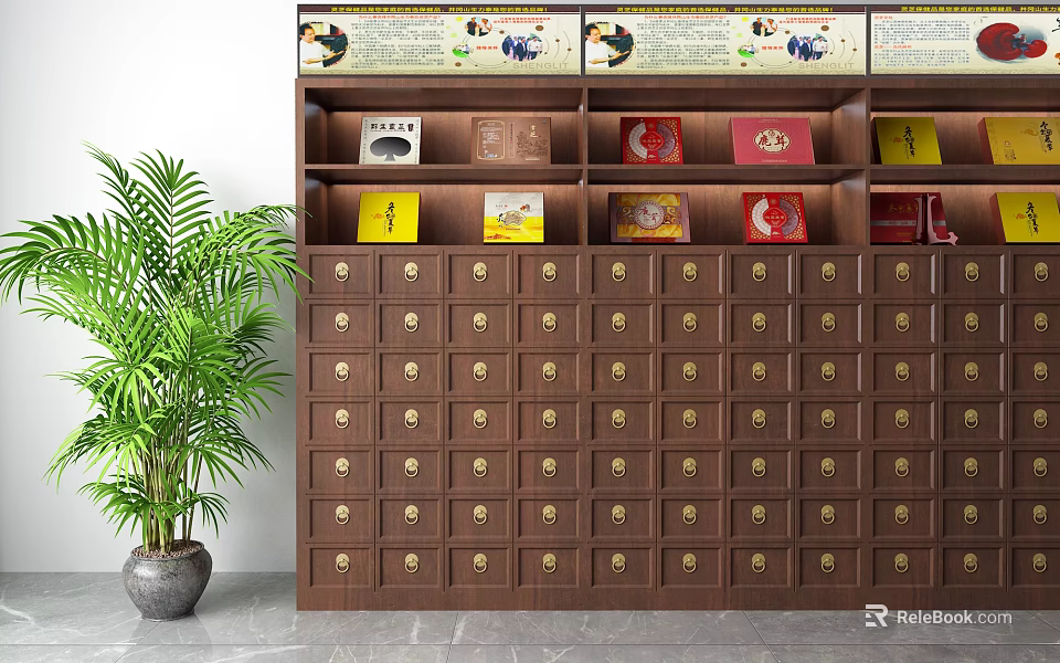 Traditional Chinese Medicine Wooden Cabinet With Drawers Boxes On Top And Green Plant 3d model 