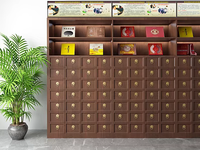 Traditional Chinese Medicine Wooden Cabinet With Drawers Boxes On Top And Green Plant 3d model
