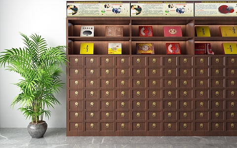 Chinese Traditional Medicine Cabinet Potted Plant 3d model