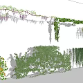 Diverse Climbing And Hanging Garden Vines With Green Purple Blue Foliage