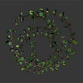 Green Leafy Plant With Red Vines In Spiral Shape On Dark Background