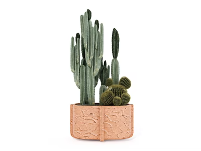 Bonsai Potted Plant With Various Cactus Types In Brown Textured Pot 3d model