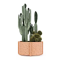 Bonsai Potted Plant With Various Cactus Types In Brown Textured Pot