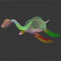 Turtle Skeleton With Detailed Bone Structure And Natural Lifelike Posture