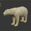 Realistic Polar Bear Standing Posture With Thick White Fur And Detailed Features
