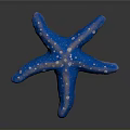 Blue Starfish With White Spots On Textured Surface Against Dark Background