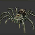 Intricate Mechanical Spider With Multiple Engraved Legs And Spiral Shell Body