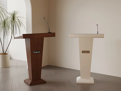 Brown And White Podium Lectern With Microphone Potted Plant Light Wall Wooden Floor 3d model