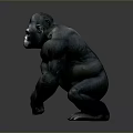 Realistic Gorilla 3D Model Sculpture With Detailed Fur And Muscular Body