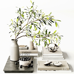 Modern Jewelry Ornaments Decorations Books Vase Green Plant Fruit Plate Furnishings Accessories Soft 3d model