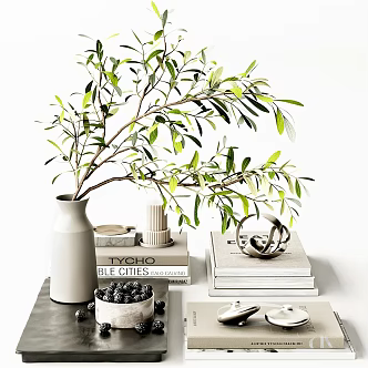 Modern Jewelry Ornaments Decorations Books Vase Green Plant Fruit Plate Furnishings Accessories Soft 3d model