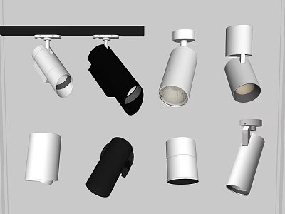Various Modern Downlights And Spotlights In Black And White Color Options For Home Lighting 3d model