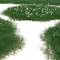 Green Turf With Small Flowers In Various Shapes For Natural Garden Decor