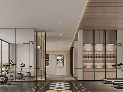 Modern Fitness Gym Interior With Exercise Bikes Treadmills And Storage Cabinets In Bright Space 3d model