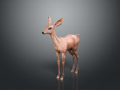 Realistic Brown Standing Fawn 3D Model With Large Ears And Lifelike Posture 3d model