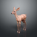 Realistic Brown Standing Fawn 3D Model With Large Ears And Lifelike Posture
