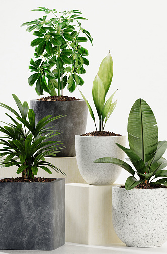 Modern potted plant 3d model