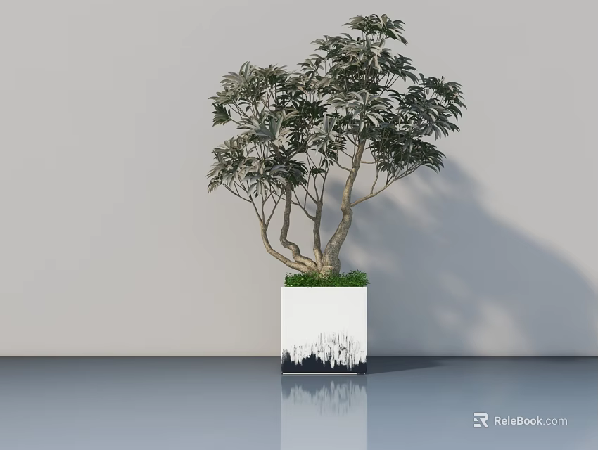 Leafy Bonsai Tree In White Pot With Black Pattern On Smooth Surface 3d model