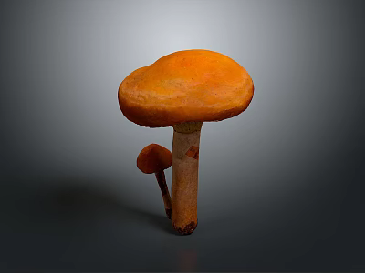 Orange Mushroom with Large Cap and Smaller Mushroom Growing on Gray Background 3d model
