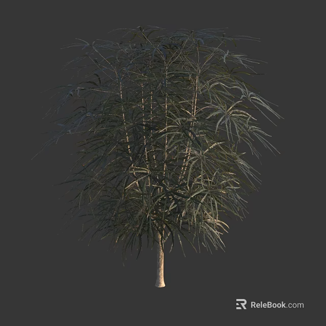 Lush Shrub With Slender Green Leaves Multiple Branches And Light Brown Trunk 3d model 