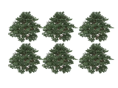 green plant tree 3d model
