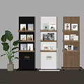 Modern Book Display Shelves in Black White Wooden with Magazines Books and Green Plant