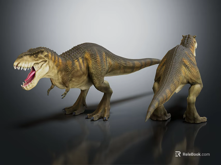 Realistic Tyrannosaurus Rex Dinosaur Models With Front And Back Detailed Views 3d model 