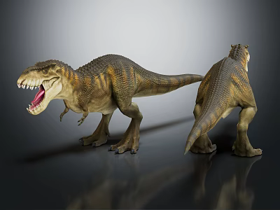 Realistic Tyrannosaurus Rex Dinosaur Models With Front And Back Detailed Views 3d model