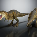 Realistic Tyrannosaurus Rex Dinosaur Models With Front And Back Detailed Views