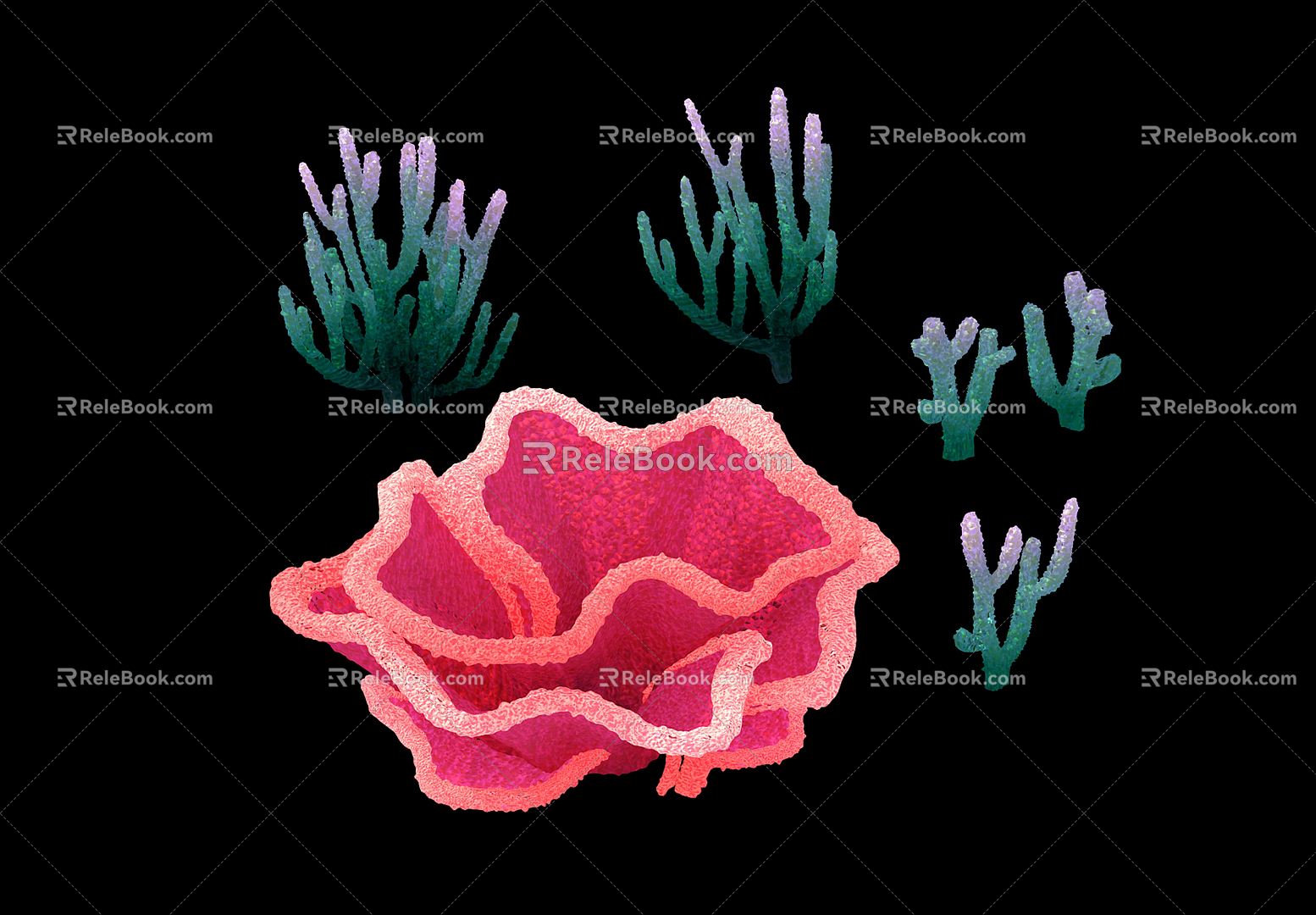 Modern Coral Tianjing Coral 3d model