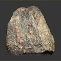 Natural Wood Stone With Red Spots On Black And White Checkered Base