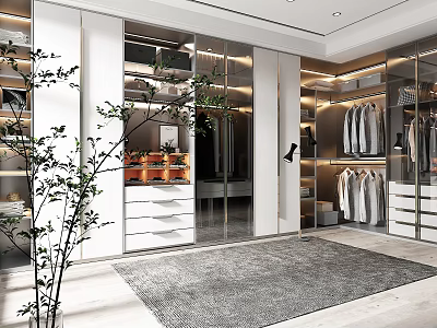 Modern Walk in Closet Interior With Glass Doors Open Racks Drawers Grey Rug And Plant 3d model