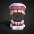 Dental Medical Equipment Model With Upper Lower Jaw Teeth And Metal Articulator Stand