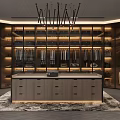 Modern Walk in Closet Interior With Glass Door Cabinets Hanging Clothes And Area Rug