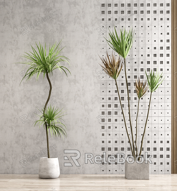 Modern potted plants model