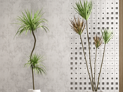 Modern potted plants model