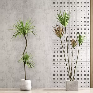 Modern potted plants 3d model