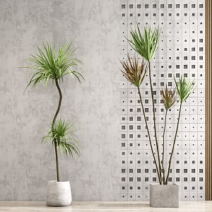 Modern potted plants 3d model