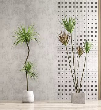 Modern potted plants 3d model